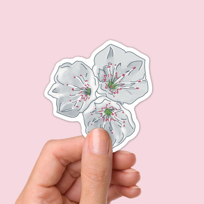 Mountain Laurel Flower Stickers | Pennsylvania, Connecticut