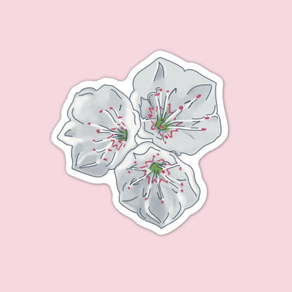 Mountain Laurel Flower Stickers | Pennsylvania, Connecticut